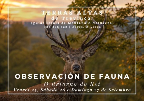 berrea Ourense ecoturismo