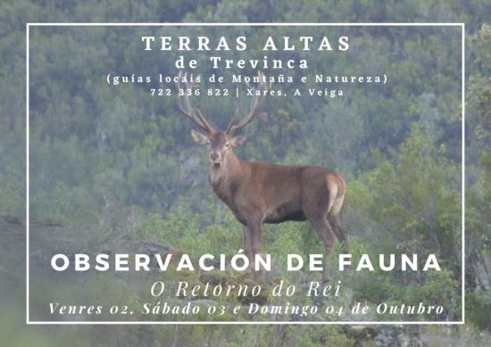 observación de fauna salvaxe